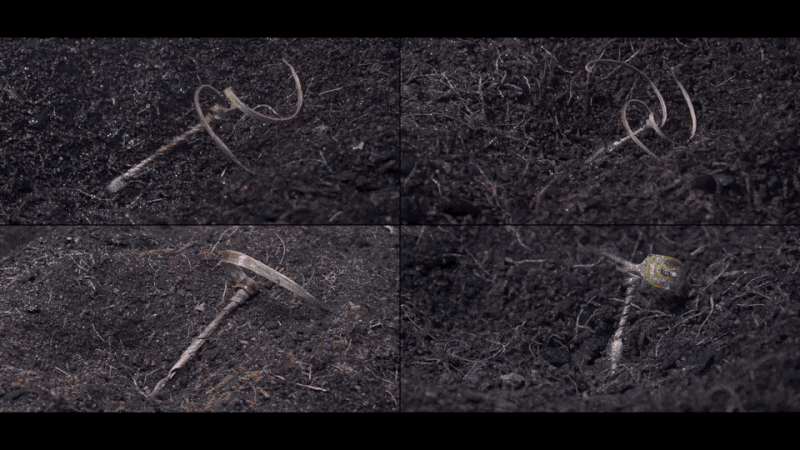 notion image